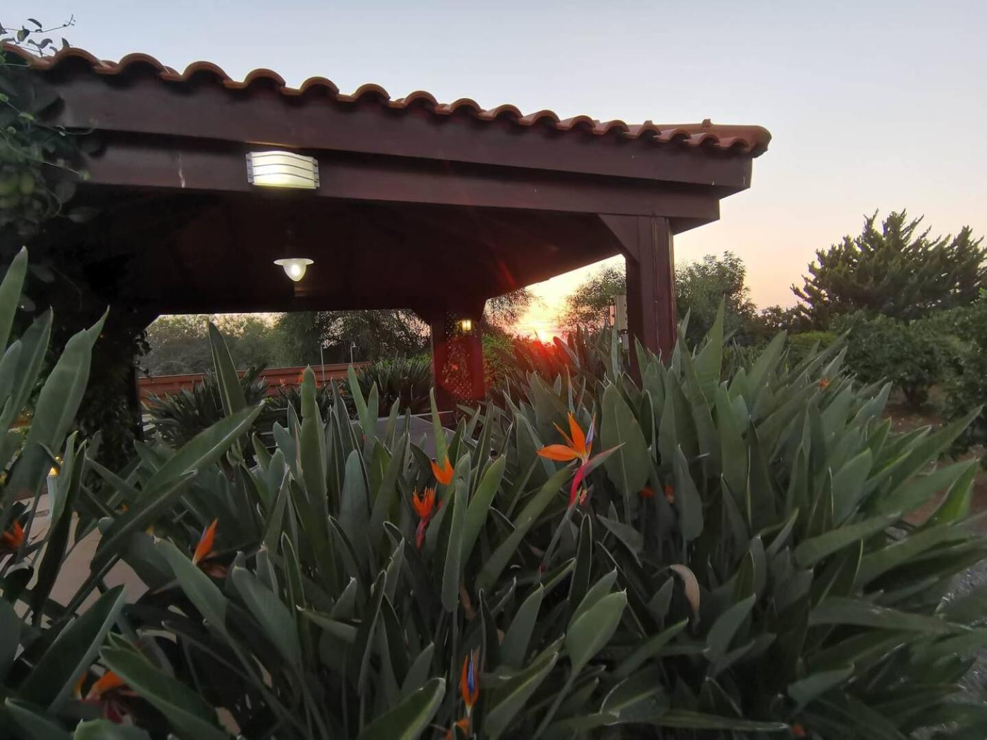 Orchard Blossom Private With Pool