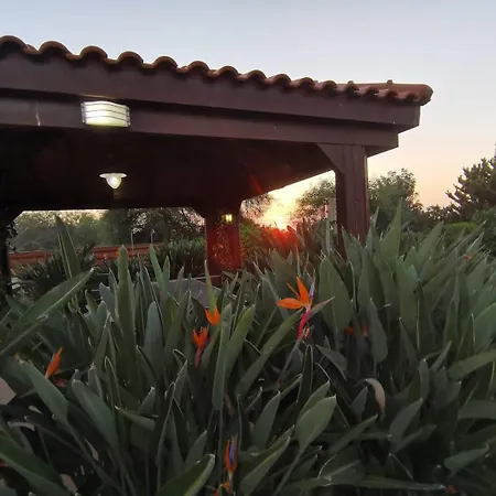 Orchard Blossom Private Villa With Pool Phrenaros Exterior photo